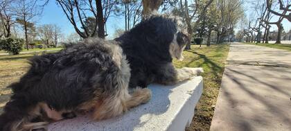 A Emma le gusta descansar en el banco de la plaza.