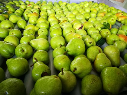 A Estados Unidos también se envían peras y manzanas nacionales