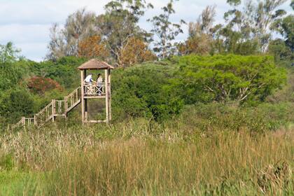 A este Mirador alto lo encontras si recorres la calle Capivara. De mañana tempranito se ven Federales, Angu, Lavanderas y muchas más aves entre los Peguajos, totoras y Achiras. También se escuchan un concierto de distintas ranas e insectos al atardecer. Es ideal para disfrutar los increíbles cielos de tormenta.