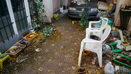 A este patio, en la calle Monasterio, ayer no pudieron entrar los fumigadores