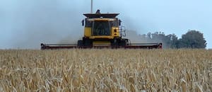 Un juego de ingenio para no perder el partido