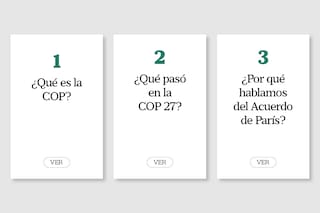 Qué se discutirá en la reunión de cambio climático y por qué Milei dice que es un invento de los “zurdos”
