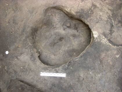 a huella de un rinoceronte -Stephanorhinus kirchbergensis o Stephanorhinus hemitoechus- es la primera de esta especie del Pleistoceno hallada en Europa