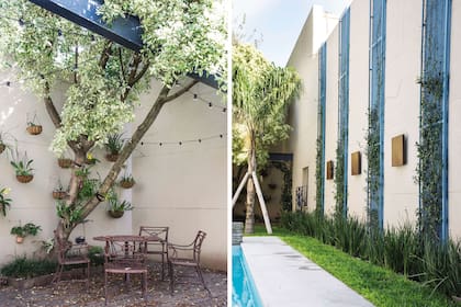A la izquierda, la colección de orquídeas de la dueña de casa. A la derecha, jazmines de leche trepan por soportes de malla galvanizada cuadriculada. Paisajismo: Eugenia Anaya.
