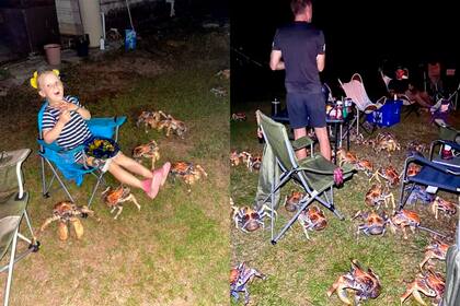 A la izquierda, la menor de la familia levanta las piernas para que no la toquen los crustáceos