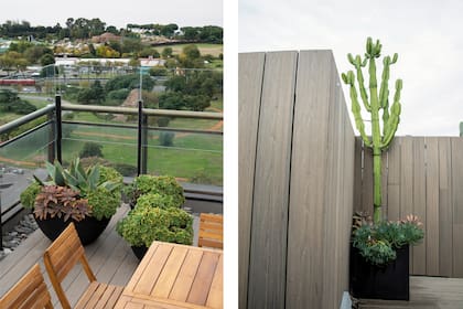 A la izquierda, tres macetas bajas que no tapan la vista, con Aloe striata y Aenium sp. A su lado, dentro del recorrido, punto focal con Opuntia robusta,Echeveria agavoides y Echinocactus grusonii.