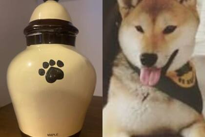 A la mujer le avisaron que su perro había muerto y una hora más tarde le entregaron unas cenizas