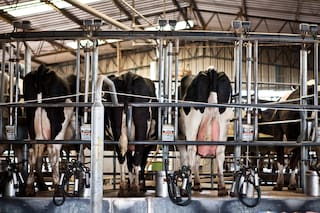 Otorgaron $20.000 millones atados a una novedosa modalidad de pago