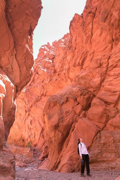 A la Quebrada de las Señoritas se llega desde Uquía, tras un pequeño tramo de ripio. El desvío hacia la derecha conduce hacia el poco conocido El Anfiteatro.