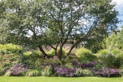 A la terraza de este jardín se accede a través de un sendero orgánico, que llega hasta el fin del jardín y que nace en la escalera principal. El rey es el cebil blanco preexistente.