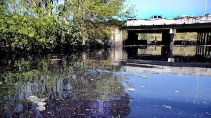 A la vera del Río de la Plata, los residuos se acumulan en la costanera porteña