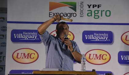 A las 13.30, con un perfil marcadamente federal, UMC-HV pondrá a consideración del mercado unas 20.000 cabezas