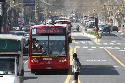 En el medio. No cruzar una avenida si no se está seguro de tener tiempo suficiente para hacerlo