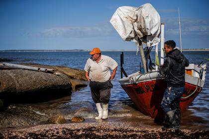 A las 8.15, a bordo de Doña Flor, llegaron los primeros tres pescadores de José Ignacio. Todavía estaban en el mar otras cinco barcas que llegarían a lo largo de la mañana