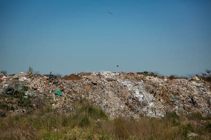 A lo largo de la última década, la científicas observaron que todos los basurales aumentaron su tamaño