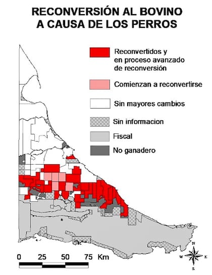 A lo largo de los 24 años que van desde 1990 a 2014 el área de afectación se ha ido incrementando hasta abarcar prácticamente a la mayor parte del ecotono y el sur de la estepa fueguina