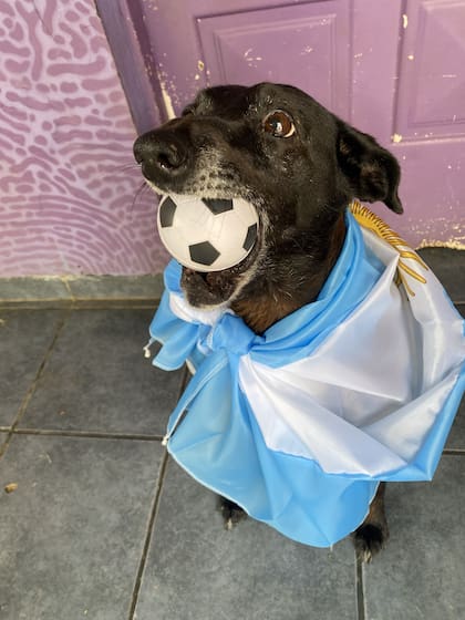 A López le faltan algunos dientitos y le cuesta atrapar la pelota, pero eso no le impide divertirse a lo grande.