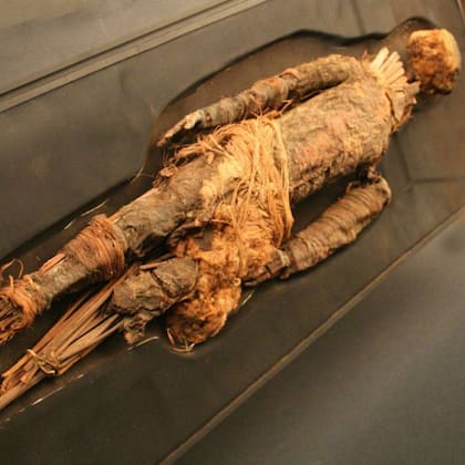 A los cuerpos, los chinchorros le quitaban todas las visceras y los músculos, y luego los rellenaban con distintos materiales como pelos de animales, vellones de lana, cuero y plumas, entre otras cosas