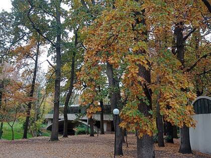 A los que llegan por primera vez, les contamos que la casa es de muy fácil acceso en el barrio de Los Troncos y que es bastante pequeña, contra lo que hacen suponer las fotos.