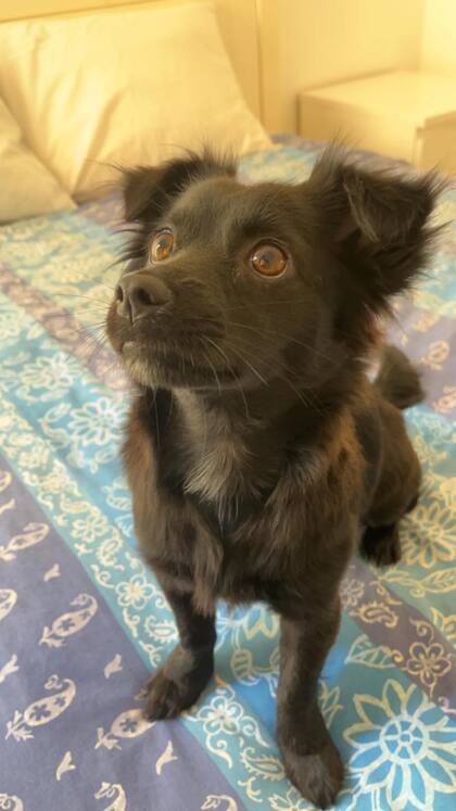 A Luna la habían abandonado a su suerte.