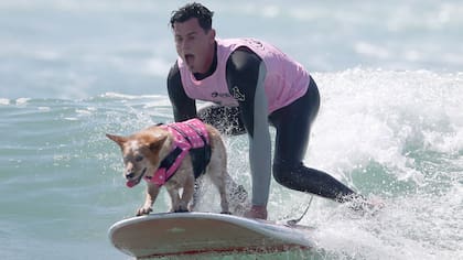Un joven surfista junto a su perro