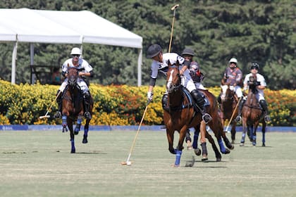 A mediados de mes, Corchito Zavaleta y la nieta del fundador del imperio Balcany aterrizarán en Buenos Aires