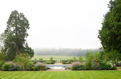 A medida que avanza el verano, la pileta con vistas a los campos y los bosques naturales se oculta progresivamente por las flores que crecen al rededor.