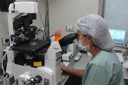 A medida que avanza la medicina reproductiva, es necesario que haya una actualización en materia de legislación