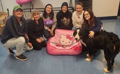 A medida que más personas descubren sus beneficios, el Jin Shin Jyutsu podría convertirse en una herramienta común en el cuidado de animales rescatados