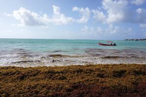 A menos que las emisiones mundiales de gases de efecto invernadero (GEI) disminuyan en un 7,6% cada año hasta 2030, el mundo perderá la oportunidad de gestionar el cambio climático a niveles controlables.