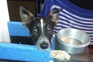 A Morita la encontraron en Mataderos uno de los días más fríos del año.