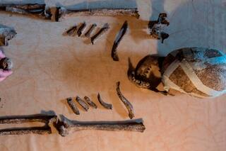 Alemania: descubren a "la dama de Bietikow", de más de 5000 años