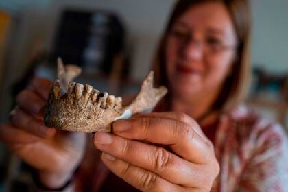 "Algunos dientes están bastante desgastados, se puede ver", abunda Bettina Jungklaus, detallando la mandíbula del esqueleto.