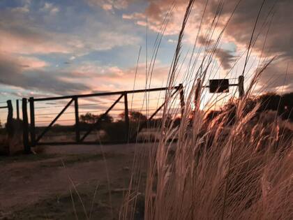 “A partir de 40 hectáreas, en Salto a un productor ya le toca este adicional que el gobierno provincial dijo que era para algunos pocos”, remarcó Nider