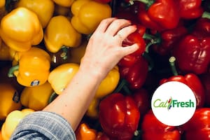 A partir de hoy miles de inmigrantes en California podrían perder su beneficio de Calfresh