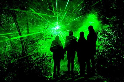 A partir de este año, el Jardín Botánico implementará noches temáticas