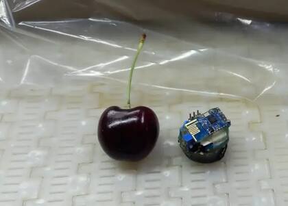 “A partir de la implementación de esta tecnología, vimos que se pudieron hacer mejoras concretas en algunas plantas de empaques que la probaron. En especial, en materia de calibración de la máquina transportadora a fin de reducir los saltos que registran las frutas", explicaron