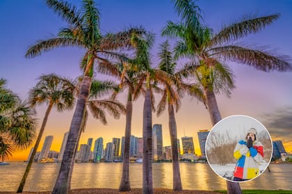 A partir del 8 de enero, Florida emitió alertas por corrientes de resaca y heladas severas en varias regiones