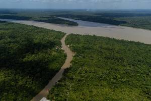 Brasil inicia la Cumbre por la Amazonía para lograr un acuerdo para proteger a la principal selva tropical del planeta