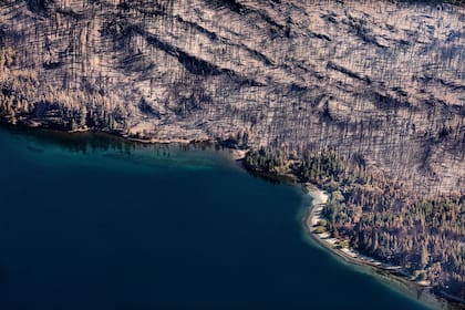 A partir del procesamiento de imágenes satelitales, Greenpeace estimó que la superficie afectada por incendios fue de casi 32.000 hectáreas