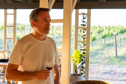 A pasos de Pinamar, Eduardo Tuite impulsa un viñedo con uvas adaptadas al clima costero y apunta a vinos frescos y de baja graduación alcohólica