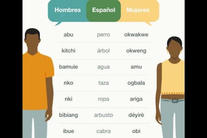 A pesar de estas diferencias hombres y mujeres pueden entenderse los unos a los otros perfectamente