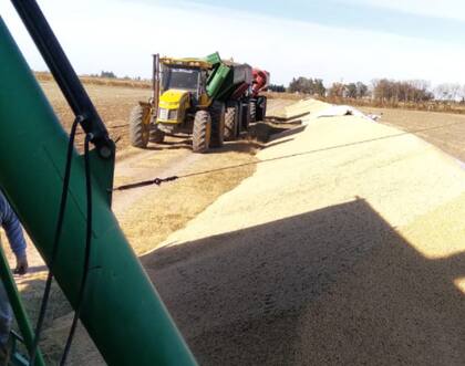 A pesar de haber realizado la denuncia policial correspondiente, no se tiene datos precisos de quienes pudieron haber cometido el siniestro