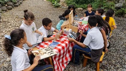 A pesar de la brecha campo-ciudad, varias escuelas rurales en Colombia ganan reconocimientos en, por ejemplo, sostenibilidad y conciencia ambiental