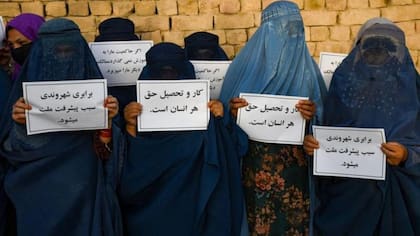A pesar de las protestas, la participación de las mujeres en el mercado laboral ha caído drásticamente desde que los talibanes tomaron el poder.