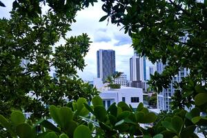 A pesar de sus múltiples atractivos, los habitantes de esta ciudad se dicen poco dispuestos a ayudar a otros