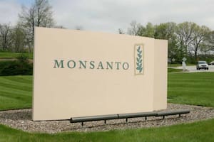 Qué dijo Bayer tras la millonaria condena contra Monsanto por un caso de cáncer