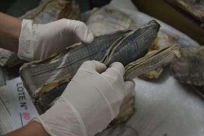 A pesar en las deficiencias en materia de archivo y conservación, gracias a las fichas mortuorias custodiadas por el Renaper, un equipo logró identificar a 866 personas fallecidas y registradas como NN (Gentileza)