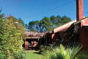 A principios de año, Eugenia y Benjamín compraron una antigua casa de estilo campestre en el country Chacras de Murray, en Pilar, sobre un gran parque de 8300 metros cuadrados