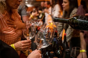 A qué hora se levanta la veda electoral